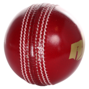2-piece-cricket-ball-4